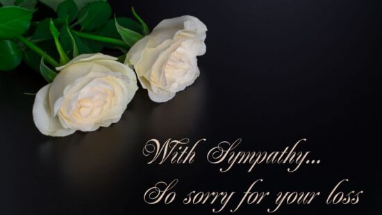 166795310 - beautiful flowers with text condolences